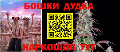 PSILOCYBIN Будённовск